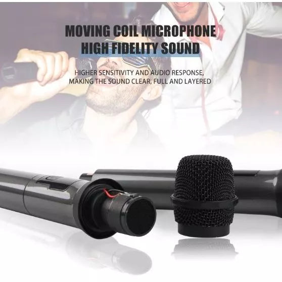 DM-300s Wireless Microphone Portable Receiver Box/free Rechargeable battery Audio