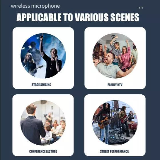 DM-300s Wireless Microphone Portable Receiver Box/free Rechargeable battery Audio