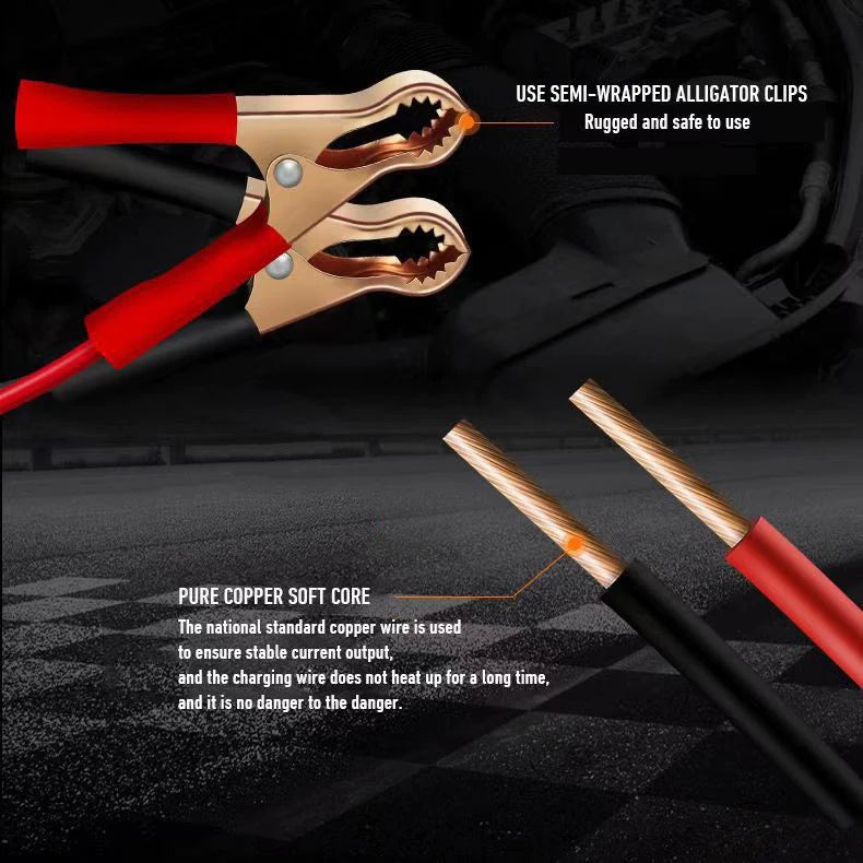 Smart Battery Motorcycle Charger