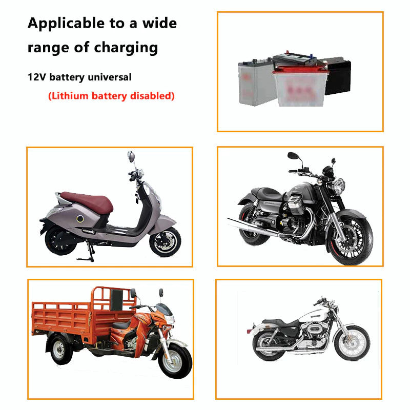 Smart Battery Motorcycle Charger